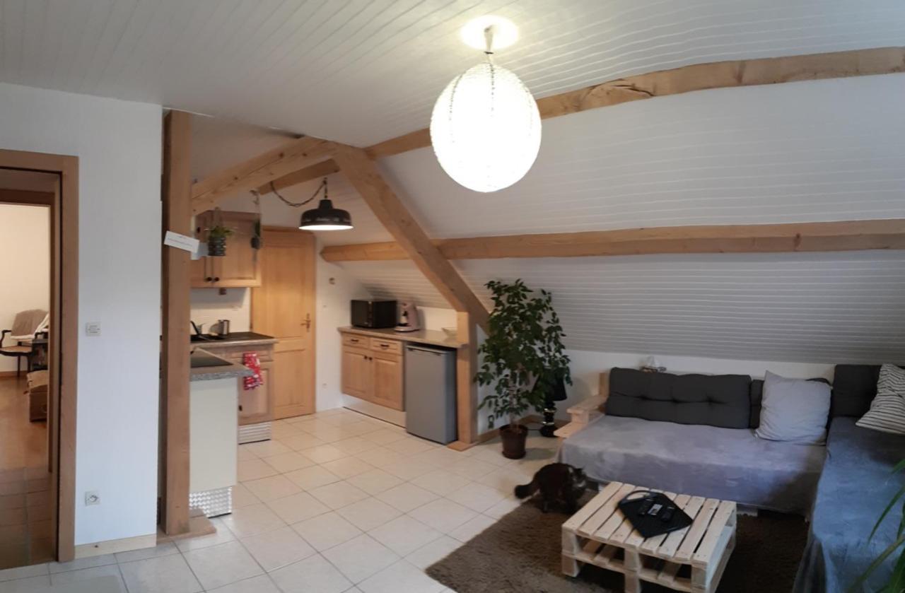 Appartement Douillet Avec Vue Sur Les Montagnes Fouchy Екстер'єр фото